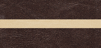 DARK BROWN [VT2] (BEIGE [VT5])