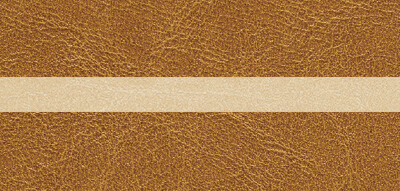 CAMEL [VT4] (BEIGE [VT5])