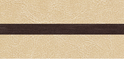 BEIGE [VT5] (DARK BROWN [VT2])