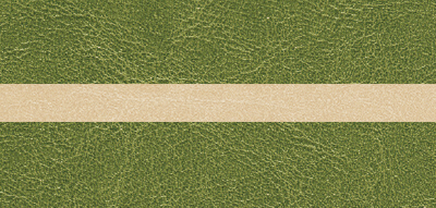 GREEN [VT6] (BEIGE [VT5])