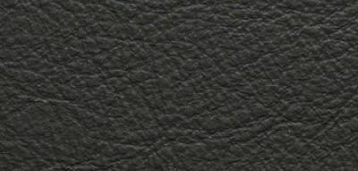 COOL BLACK [KA06] (genuine leather)